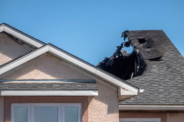 Top rated local Odor Removal specialists in Manville, NJ